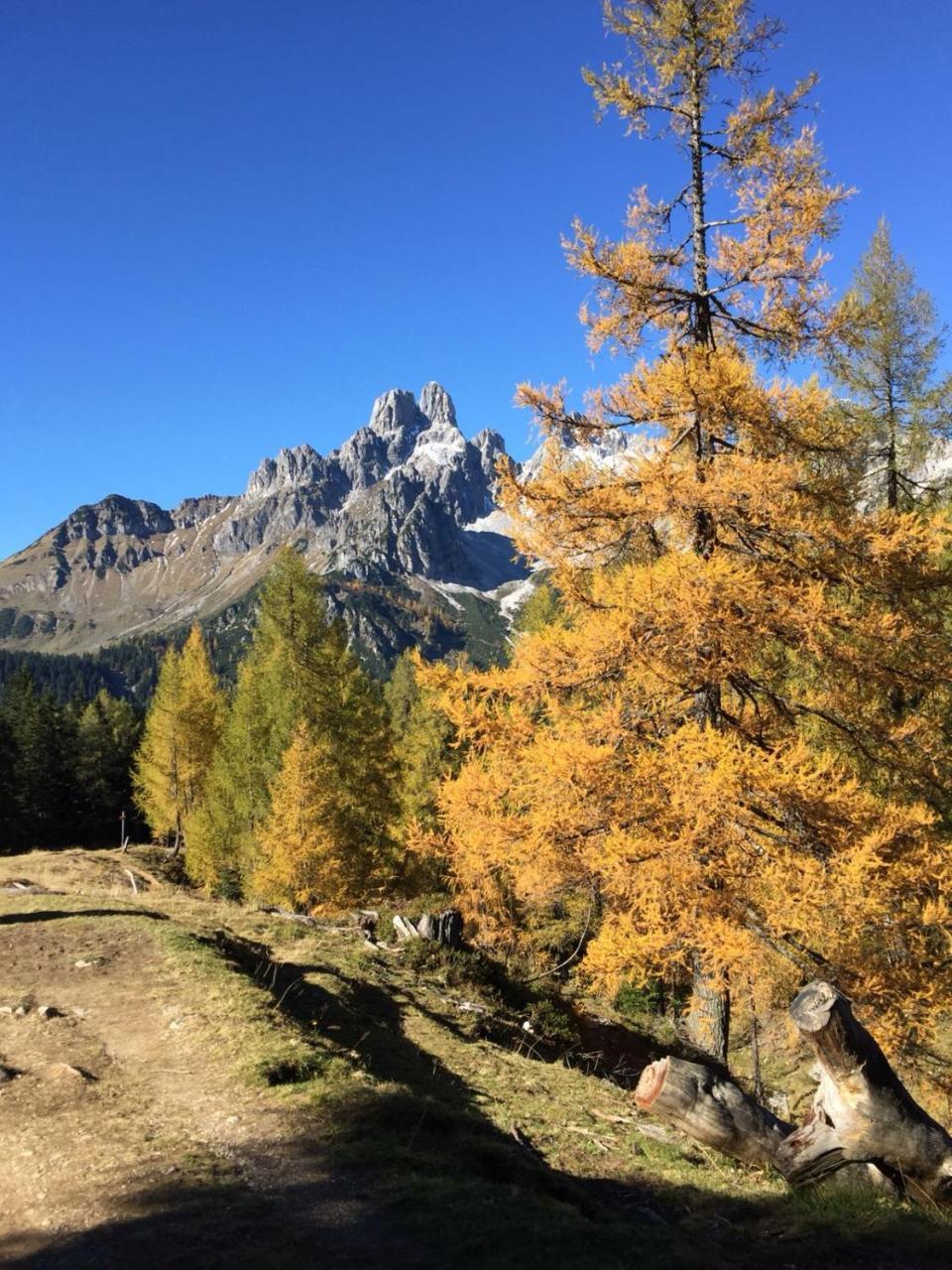 Ferienhaus Poettler Untertauern Dış mekan fotoğraf